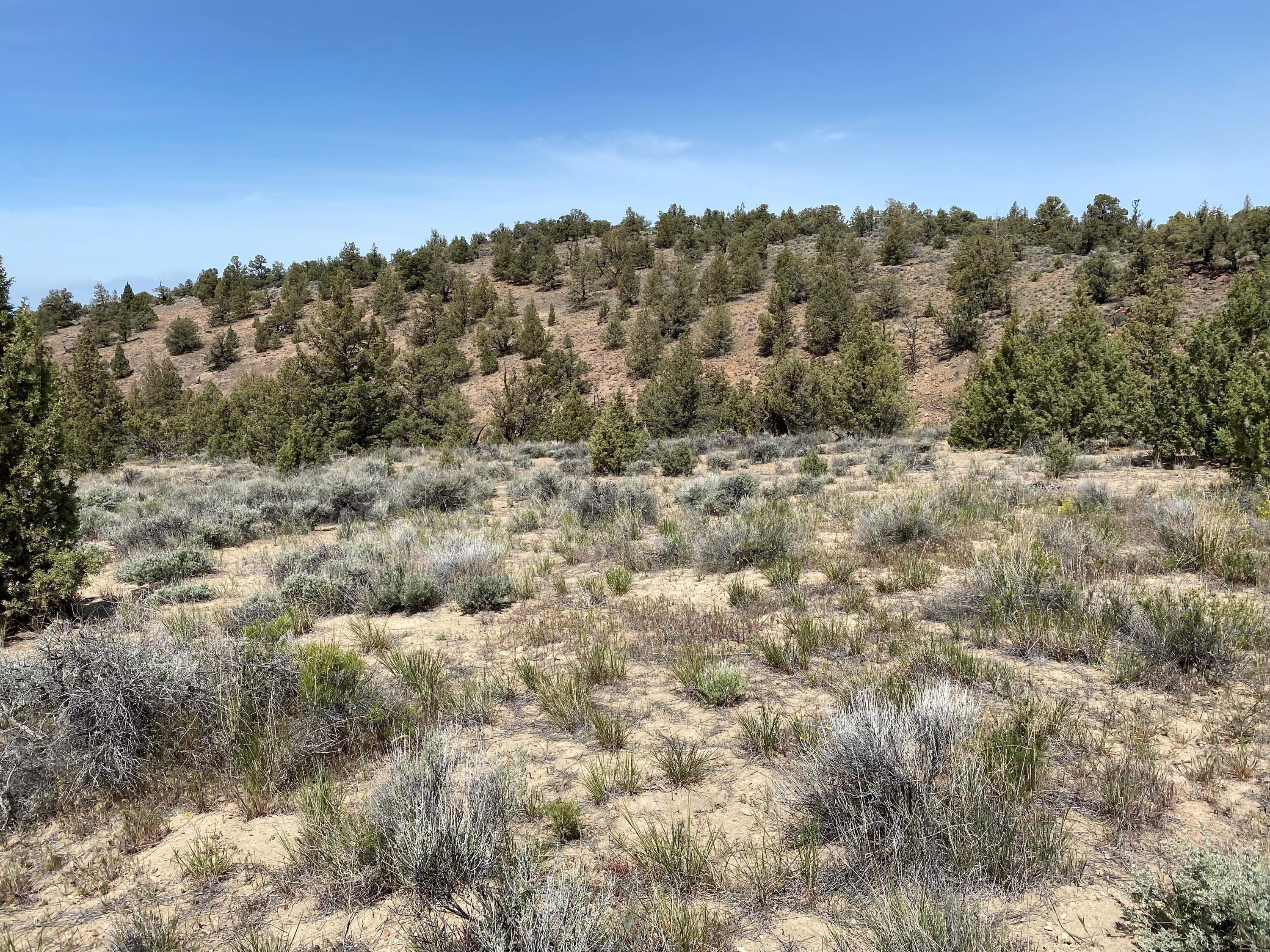 Brasada Ranch - Land