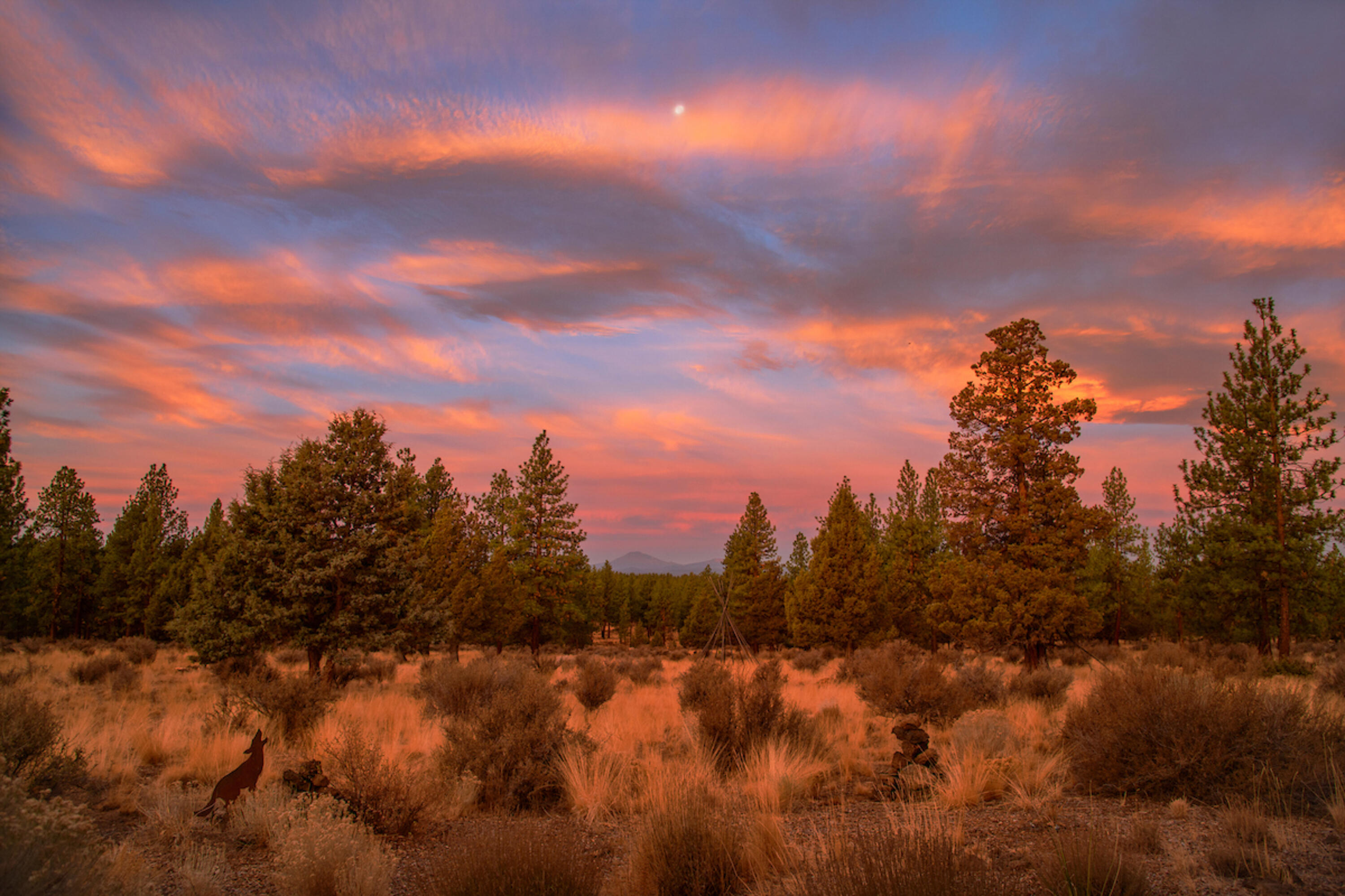 21685 Butte Ranch Road