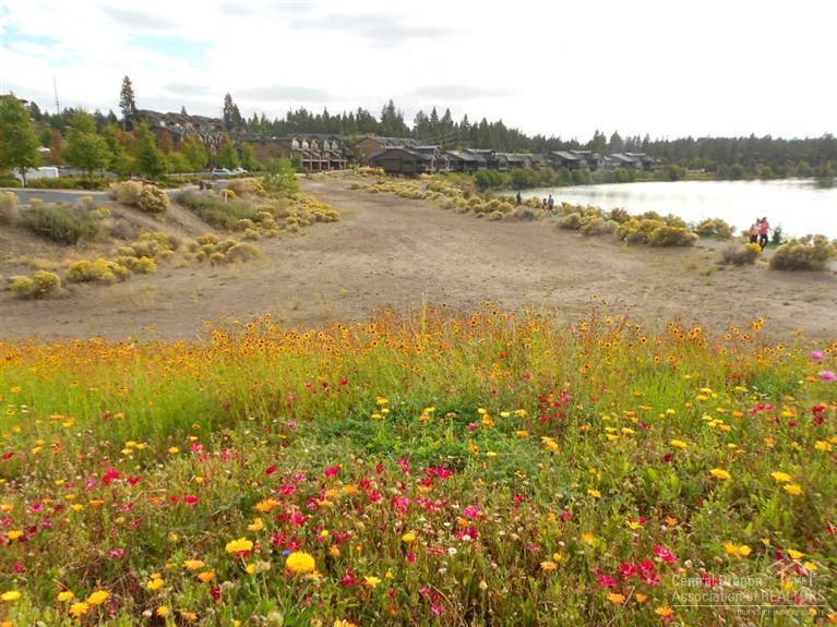 Mill View - Commercial Sale