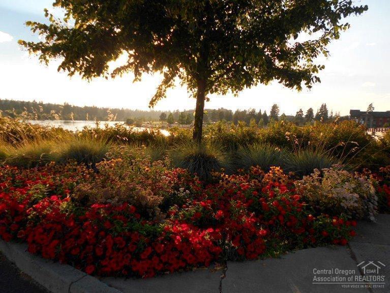 Mill View - Commercial Sale