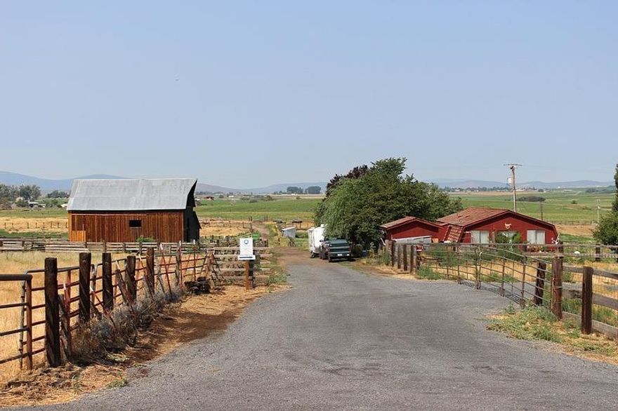 PASTURE RANCH along mi of Lost River in Henley area. 240 acres, approximately 195 acres irrigated with estimated stocking rate of 300 yearlings. Perfect for horses or purebred operation. Fenced, cross fenced, corrals, scale, livestock/hay barn & shop, pumps, mainline, 5 guns, much equipment included. 3 bedroom home overlooking the river valley, and there is a wooded butte with beautiful building site opportunities. Abundance of waterfowl, cranes and birds of prey along peaceful & private Lost River frontage. Geothermal well is 1 mile +/- deep, 300 degrees and lease is included.