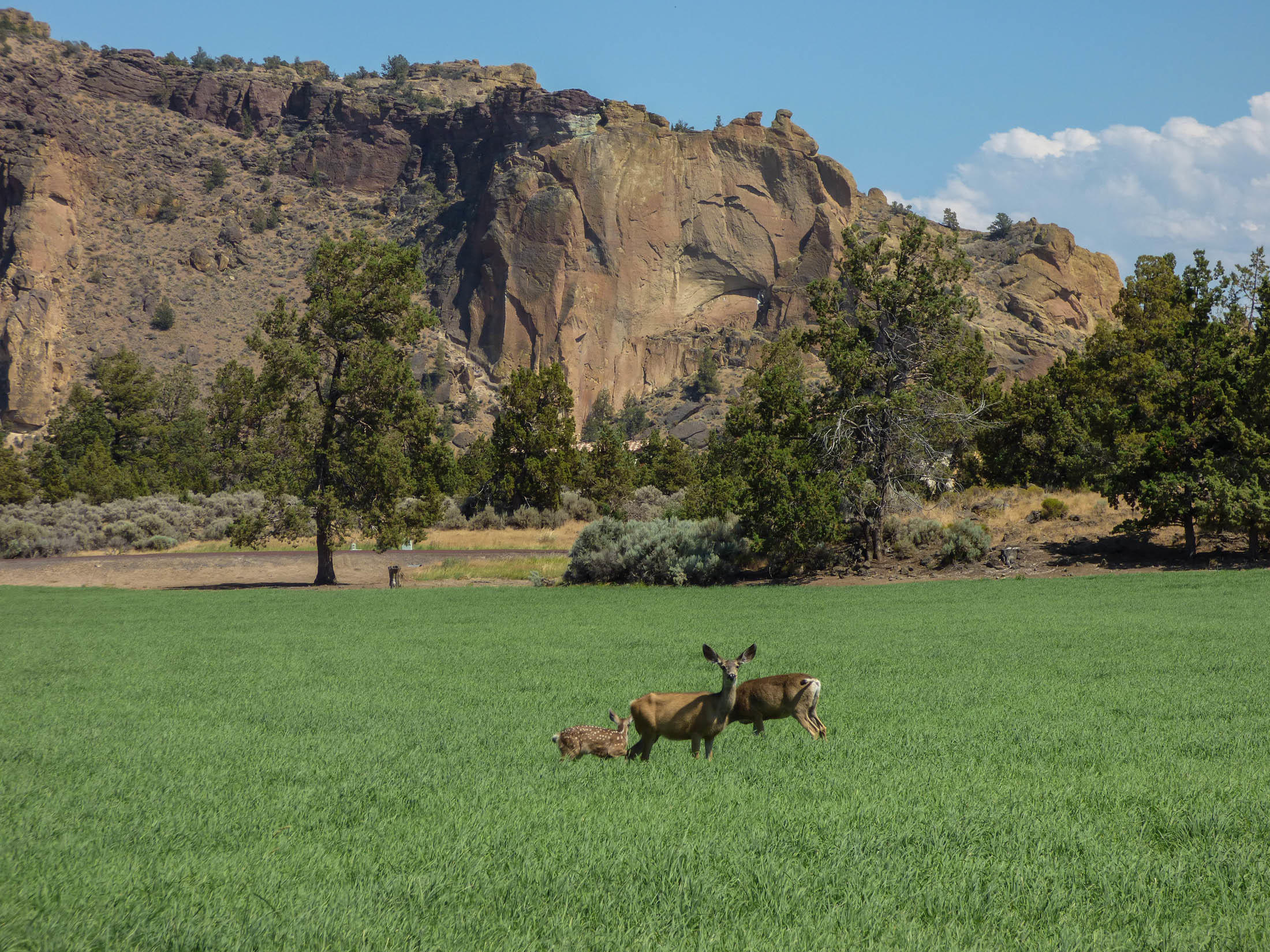 Ranch at the Canyons - Land