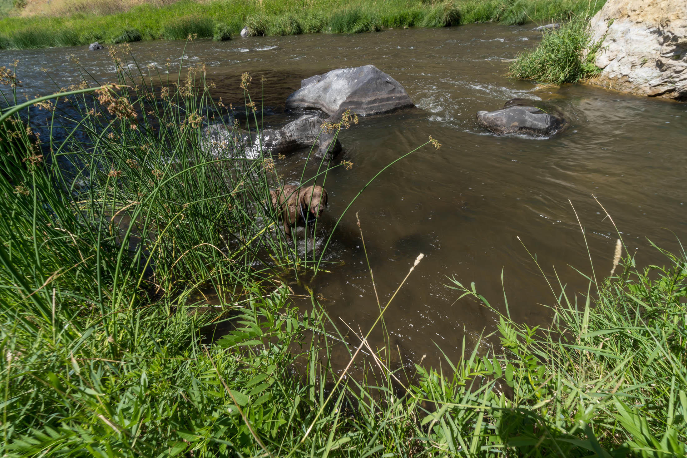 Ranch at the Canyons - Land