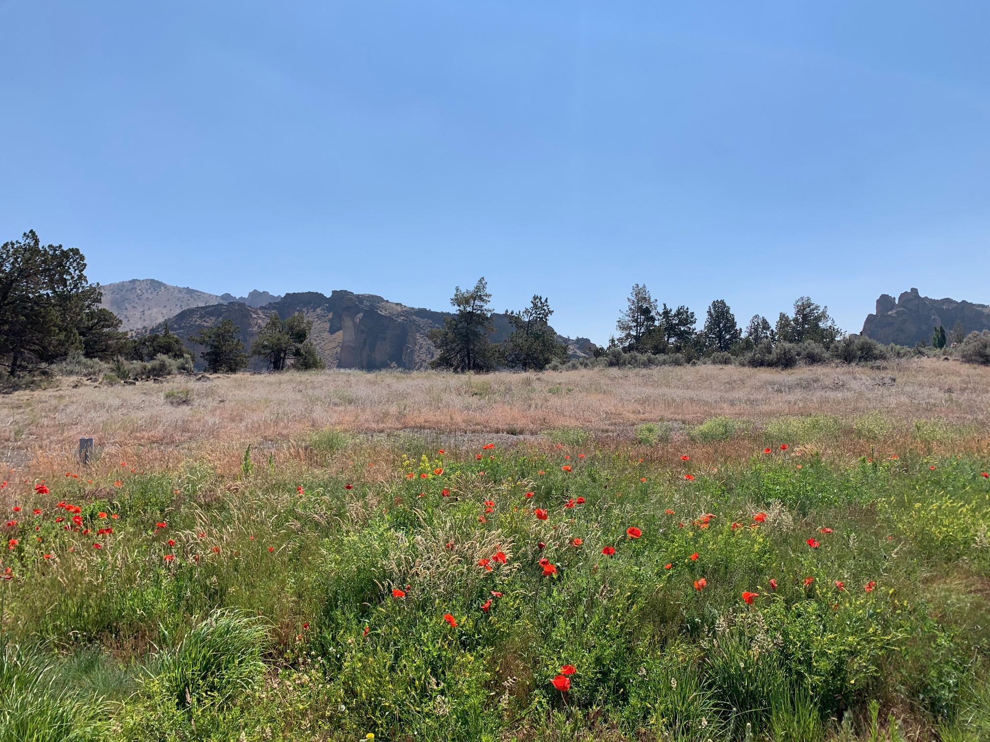 Ranch at the Canyons - Land