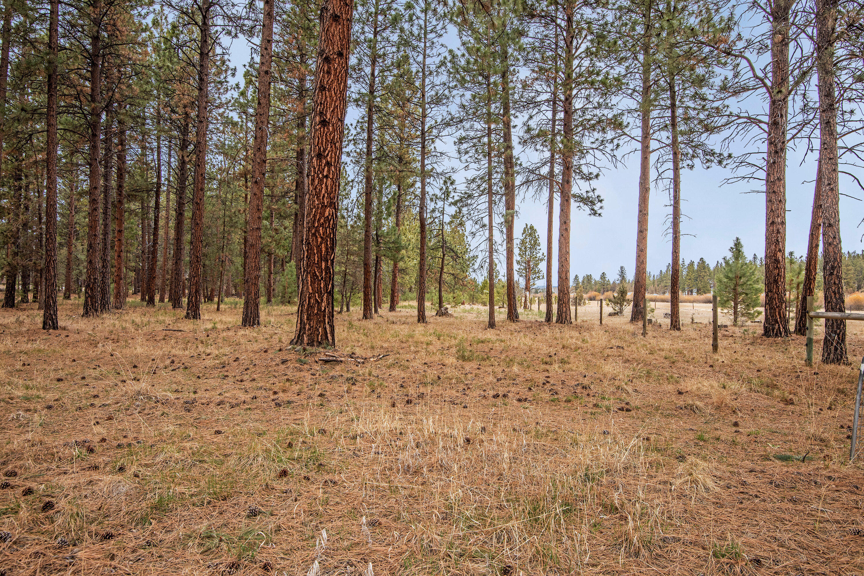 Indian Ford Meadows - Residential