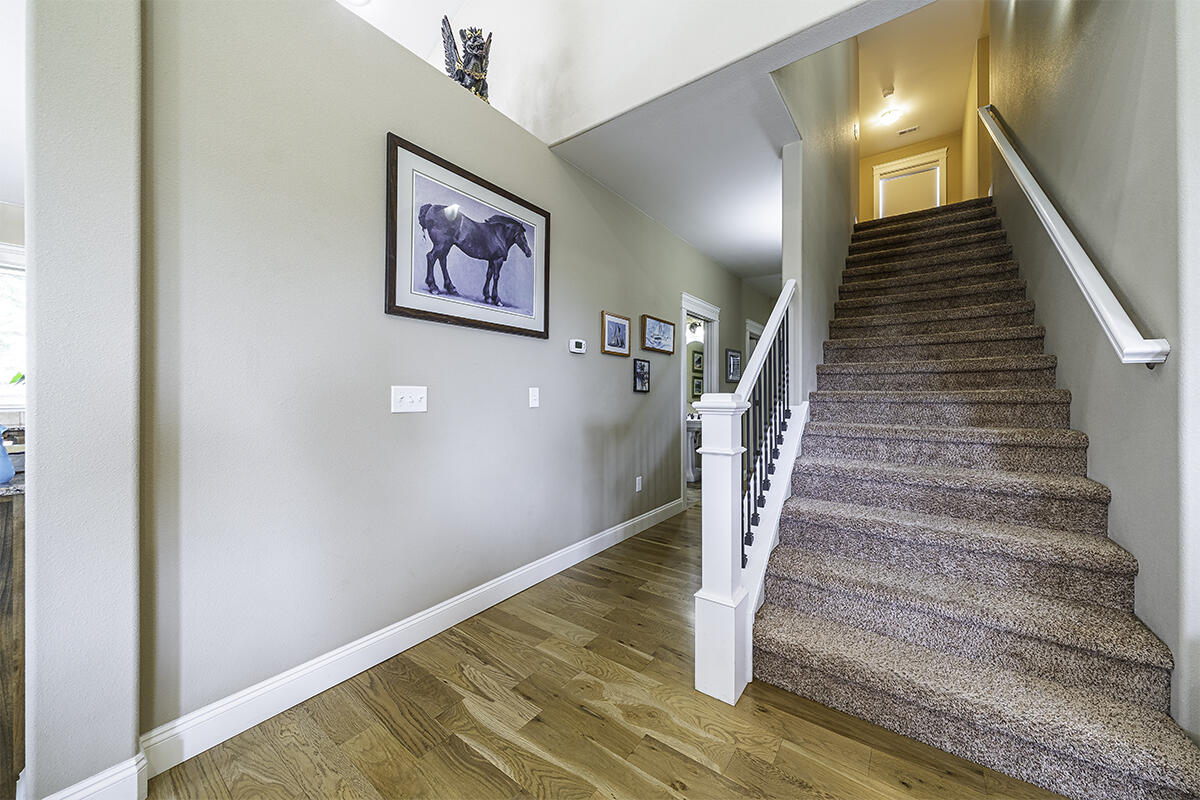 Forest Ridge At Vista Pointe Phase 1 - Residential