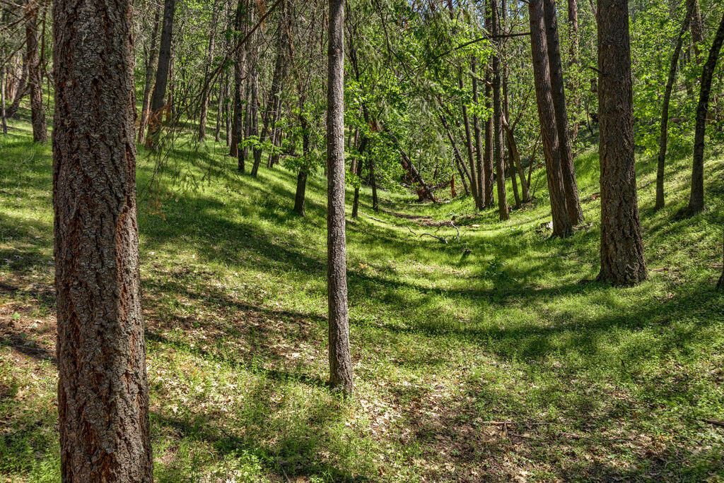 Terrace Pines Subdivision - Residential