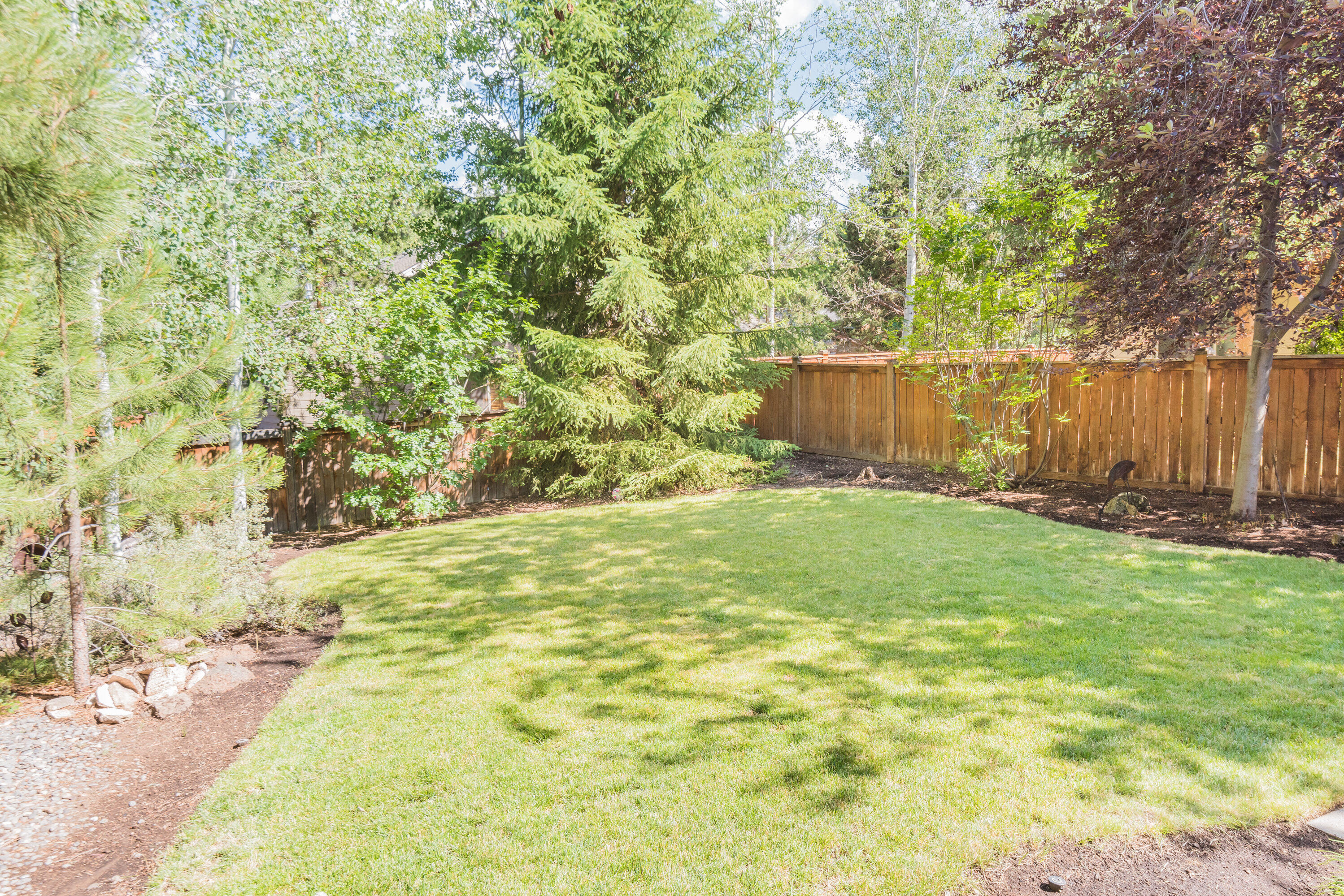 Mountain Pine - Residential