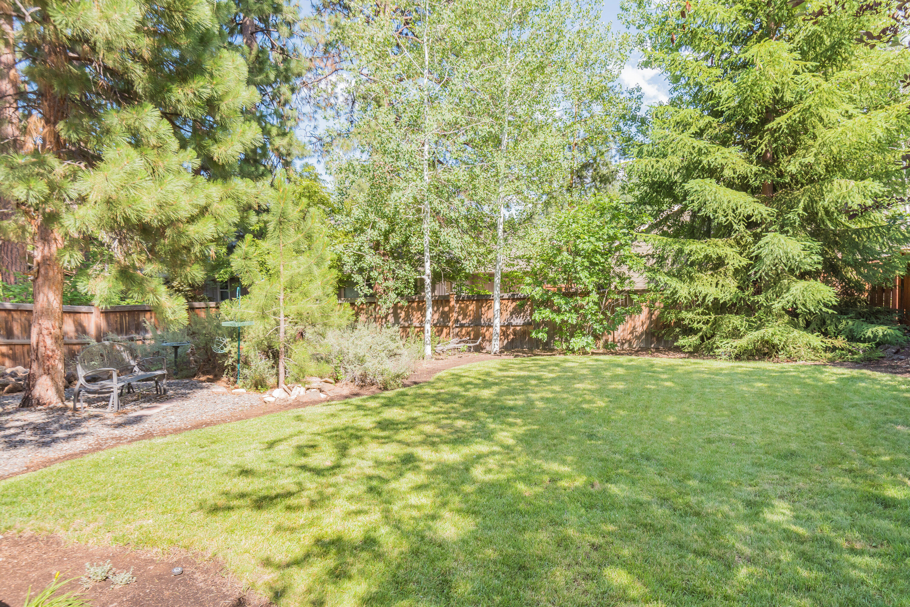 Mountain Pine - Residential