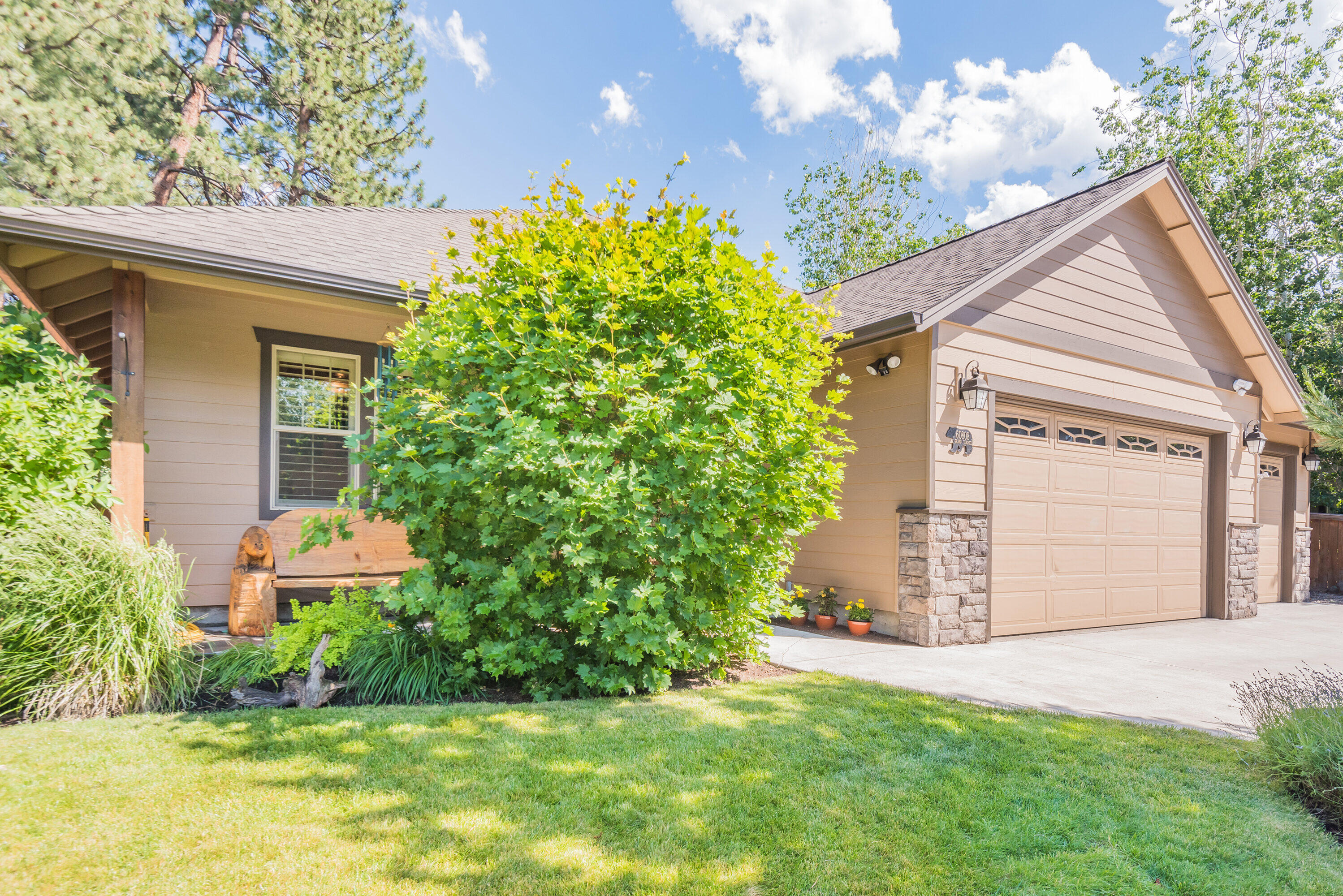 Mountain Pine - Residential