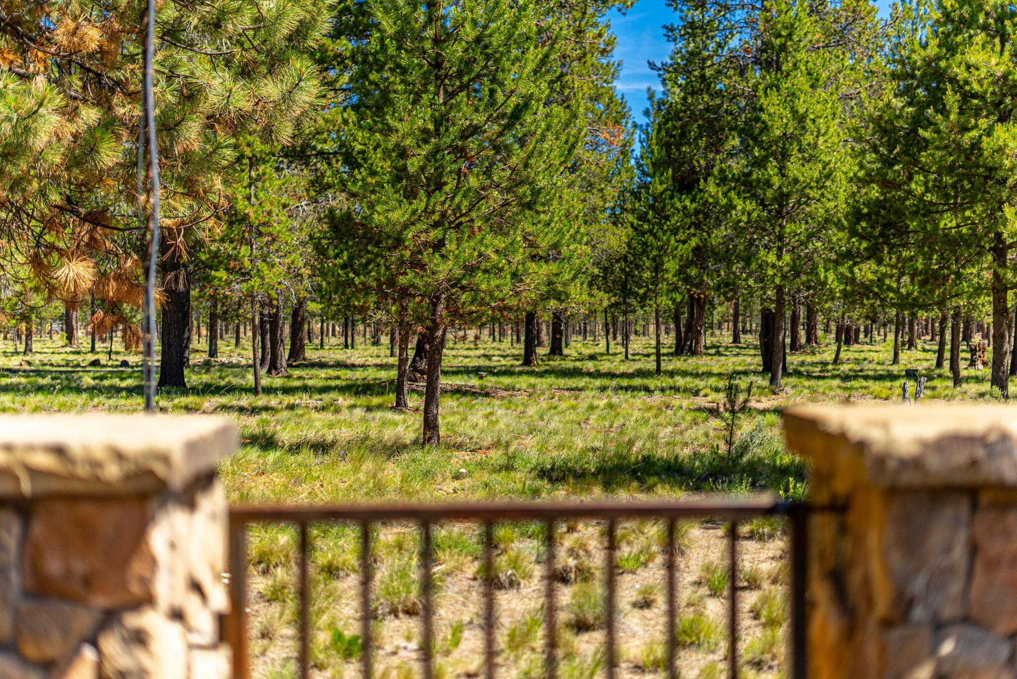 Caldera Springs - Residential