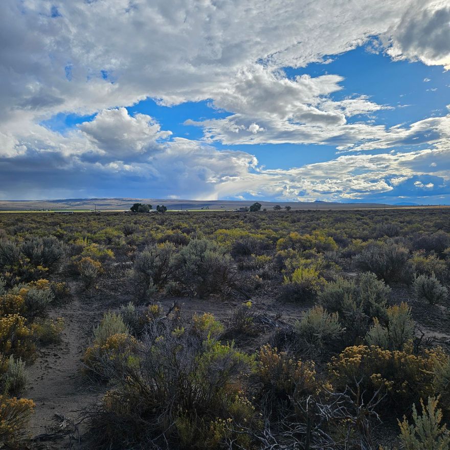 Escape to wide-open skies and rugged beauty on this 20-acre parcel in Christmas Valley, Oregon. Located on Casad Ln., this expansive property offers panoramic desert views stretching from iconic Table Rock to the slopes of St. Patrick's Mountain—an ideal canvas for your off-grid retreat or recreational basecamp. With no water or power currently on site, buyers should plan for well and septic installation, along with county approval for home site placement. Whether you're dreaming of a private getaway, hobby farm, or investment in Oregon's high desert, this land provides space, solitude, and stunning scenery. Embrace the freedom to build your vision in a place where the horizon never ends.