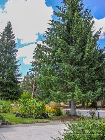 Meadowview Estate - Residential