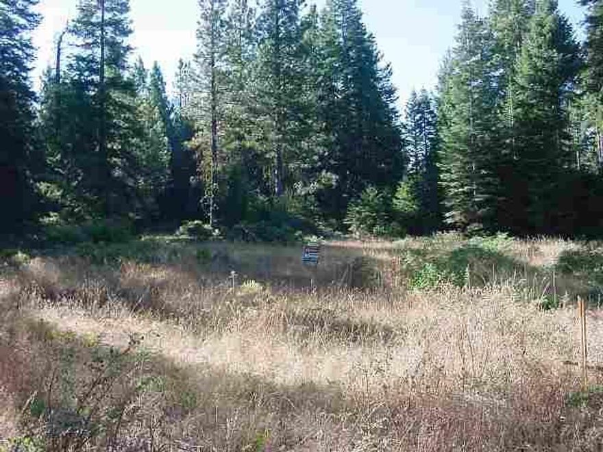 Beautiful Setting In Large Pines. No Manufacured Homes Allowd. No Close Neighbors. Seller Will Provide Septic Approval.