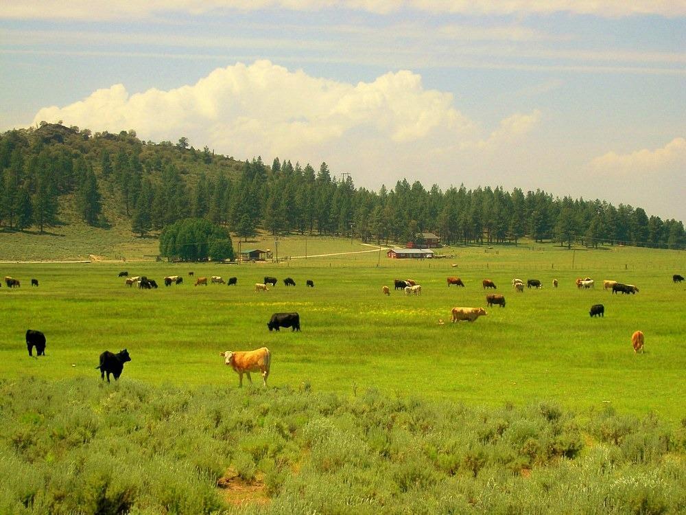 Sprague River - Farm