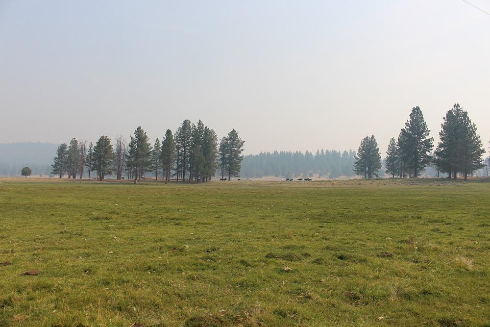 Sprague River - Farm