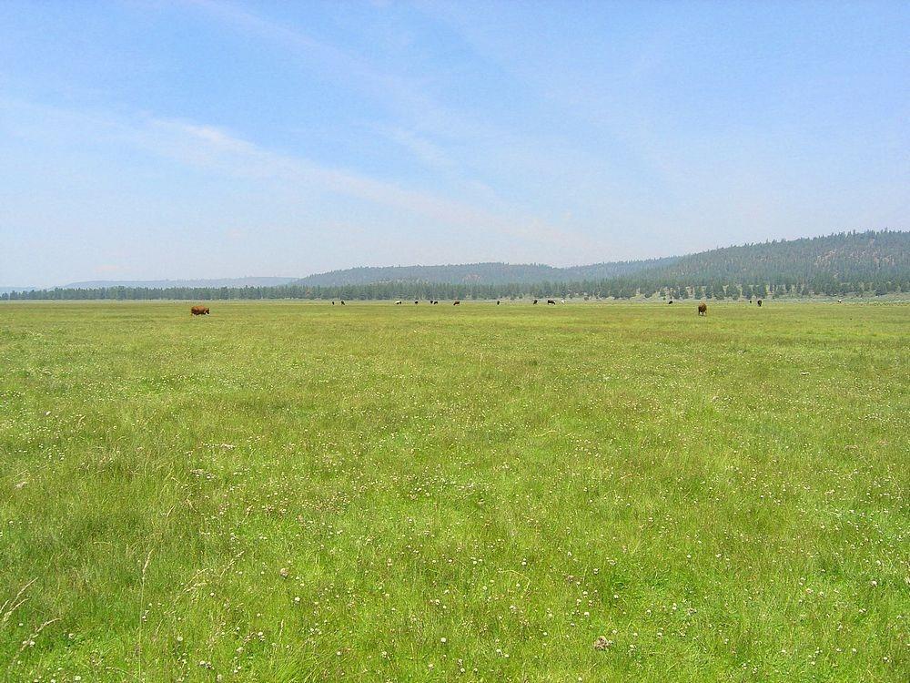 Sprague River - Farm