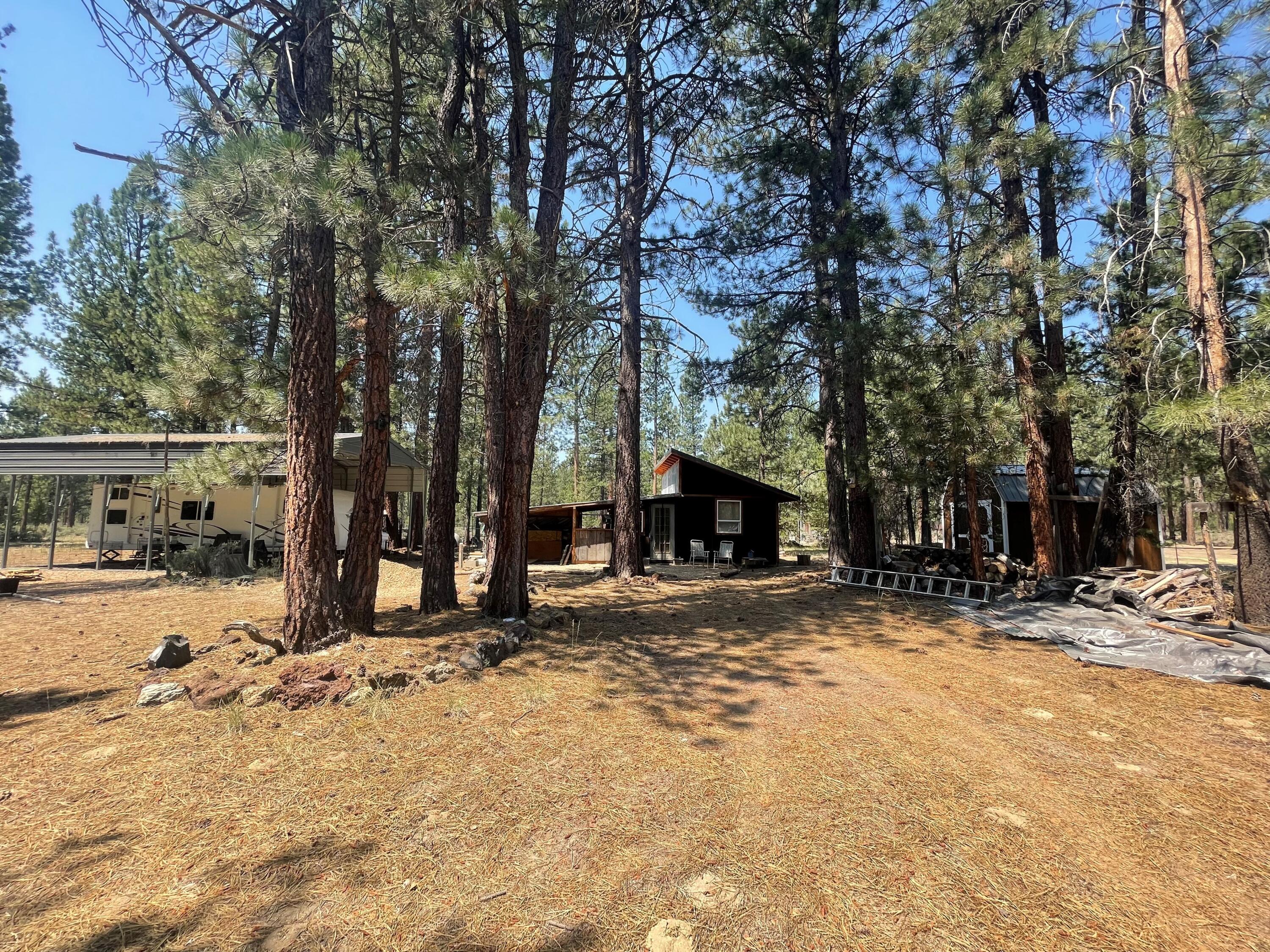 Ponderosa Pines East - Land