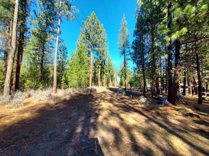 MOTIVATED SELLER!
Discover the ultimate blend of adventure & tranquility with this 1.52-acre lot, backing to BLM land, featuring trails that lead to the Little Deschutes River or to Wickiup Reservoir . This unique property comes with a cozy bunkhouse equipped with electricity, a woodstove, with access to septic & well. Also included in this incredible offering is a 32 ft. 2009 Northern Trail Bunkhouse RV, able to comfortably sleep up to 10 people under a protective cover with two additional RV hookups for water & electricity, making it ideal for hosting friends & family. A spacious storage shed is available for all your recreational toys, ensuring you have everything you need for your outdoor adventures. Whether you're looking for a perfect weekend retreat or planning to build your dream home, this property offers an unbeatable setup for both. Don't miss out on this rare opportunity to own your own slice of paradise. Come and see the potential for yourself!
