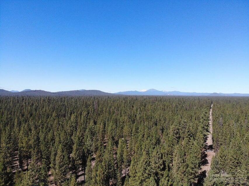 Ponderosa Pines East - Land