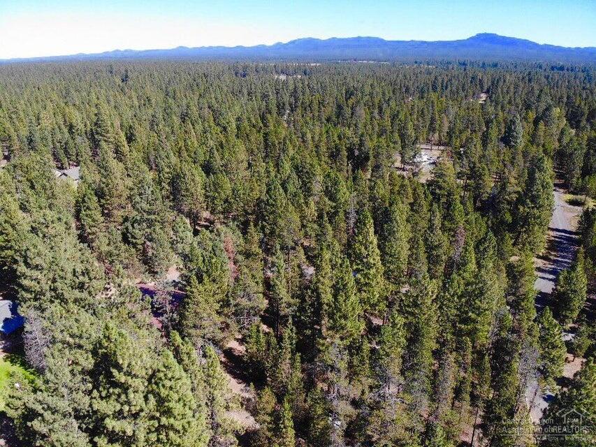 Ponderosa Pines East - Land