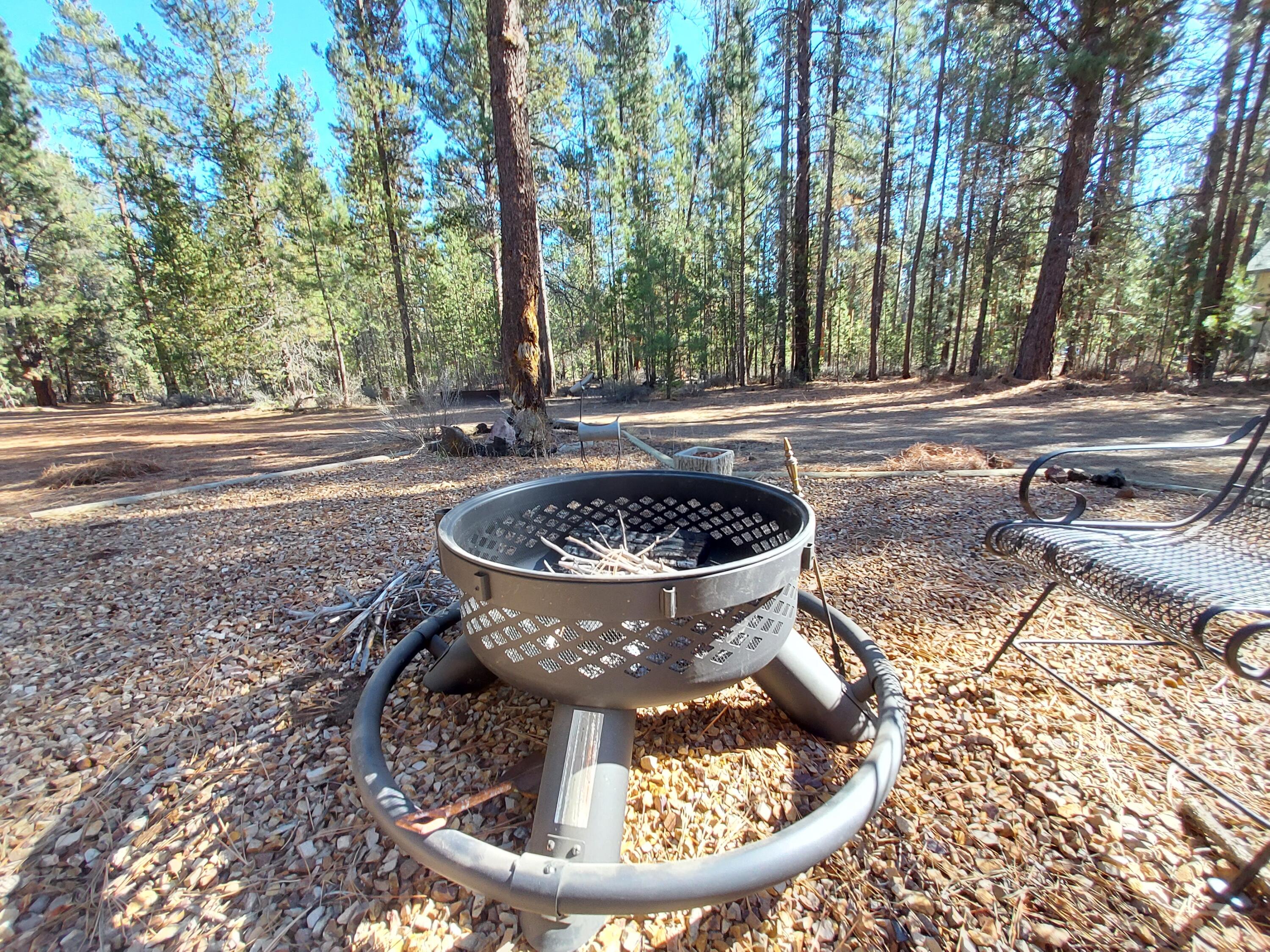 Ponderosa Pines East - Land