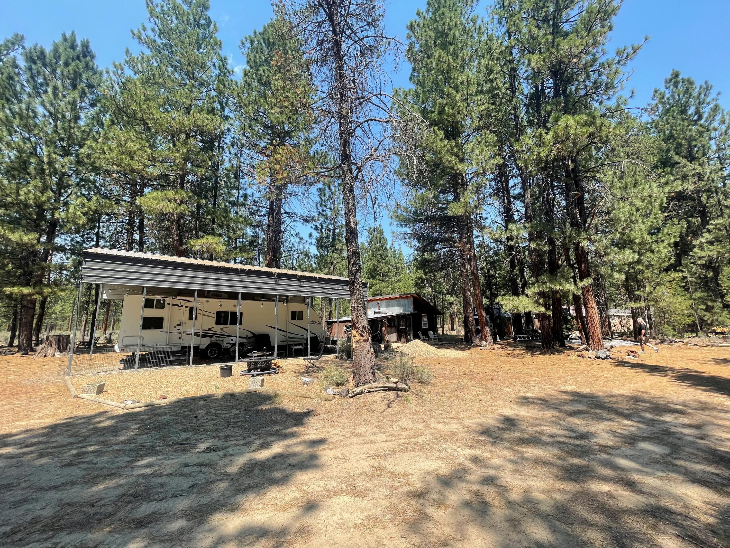 Ponderosa Pines East - Land