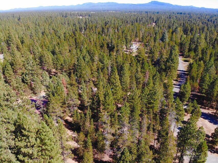 Ponderosa Pines East - Land