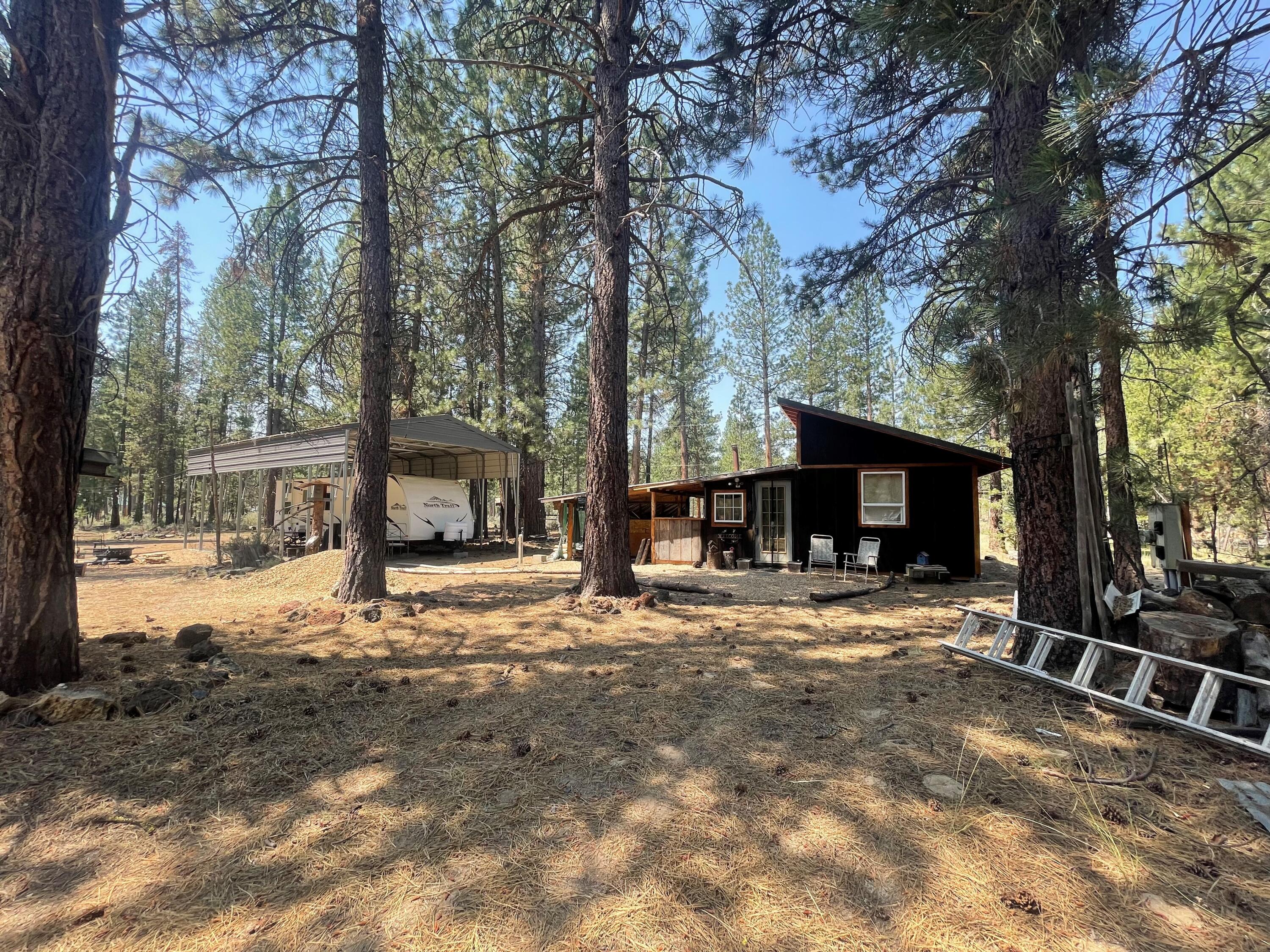 Ponderosa Pines East - Land