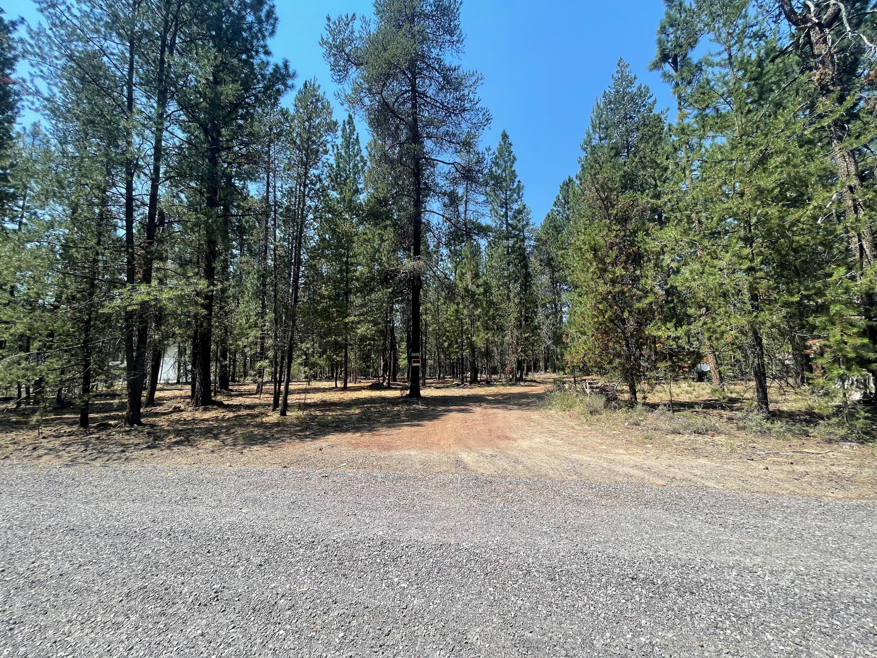 Ponderosa Pines East - Land