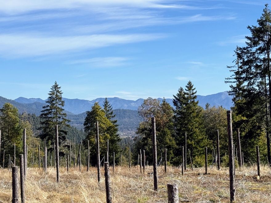 160-acre property located just 7 miles from the town of Williams, with convenient access from a paved road. A significant feature is the year-round Williams Creek, which runs through approximately half a mile of the property.
This acreage would be ideal for recreational use or could be suitable for an off-grid home site with the appropriate applications.
There is also  some timber value east of the Creek.