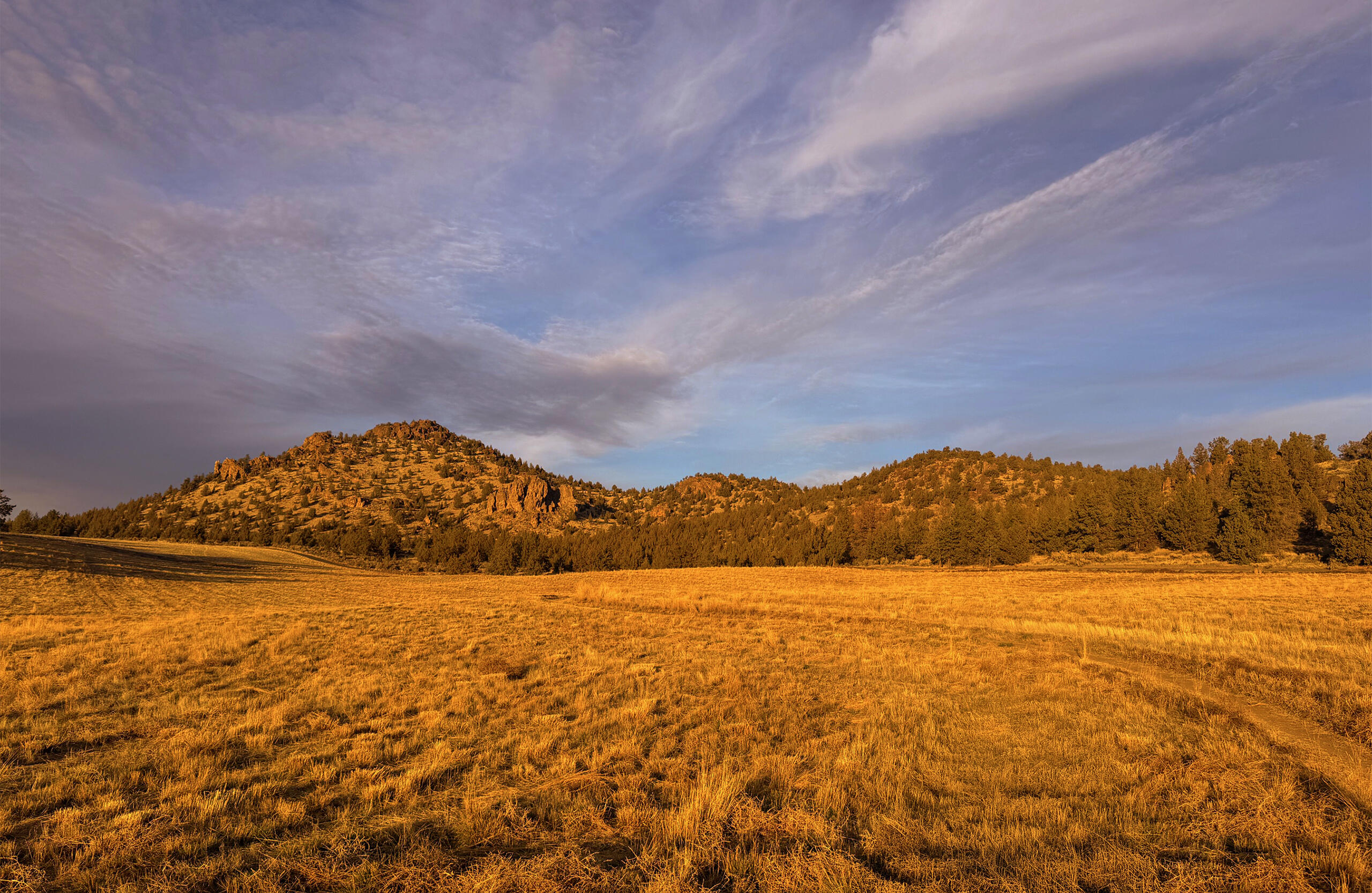 Stoneridge Terrace - Residential