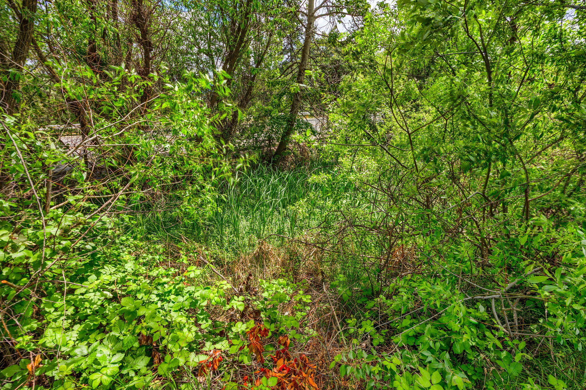 Chautauqua Trace Phase 1 - Residential