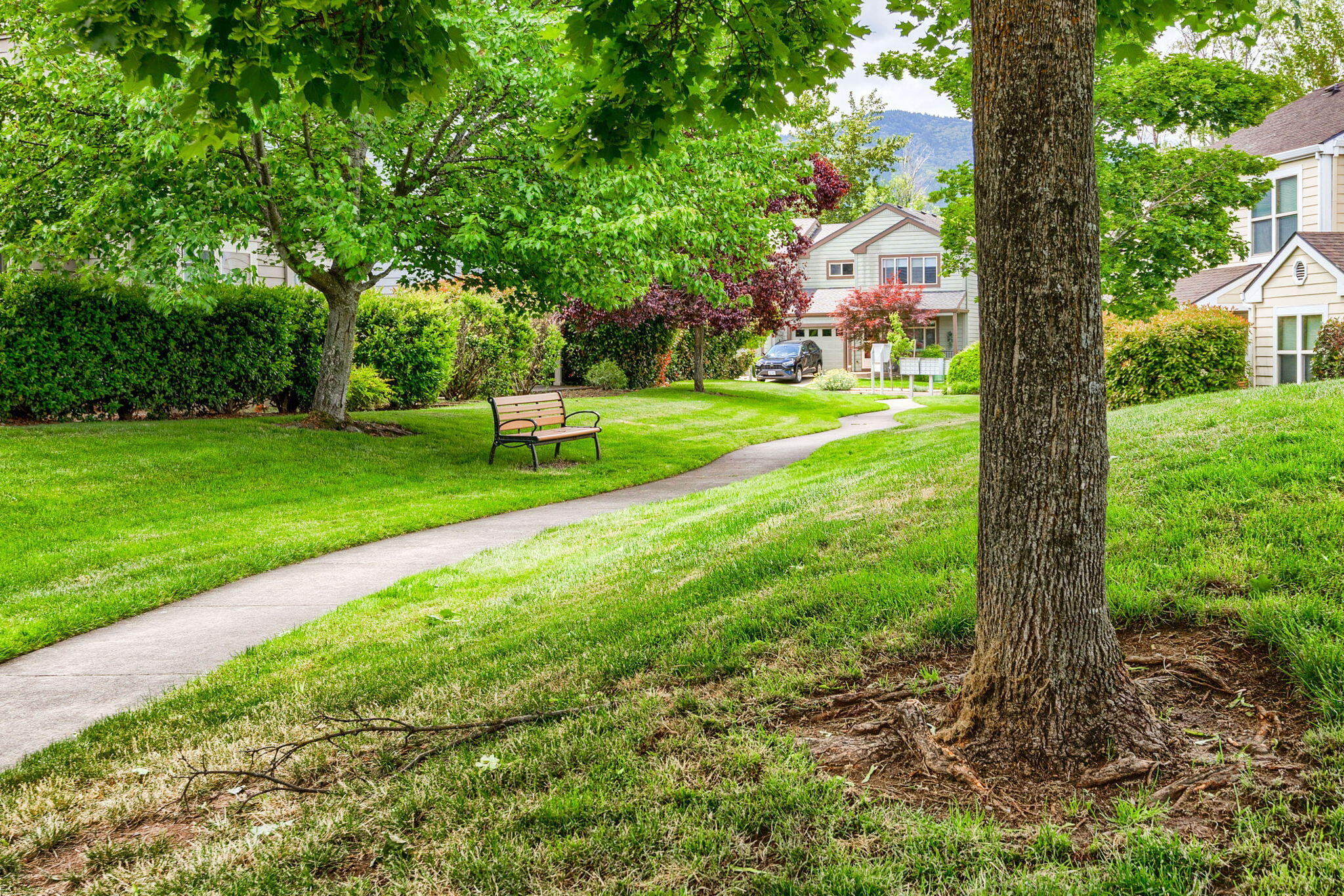 Chautauqua Trace Phase 1 - Residential