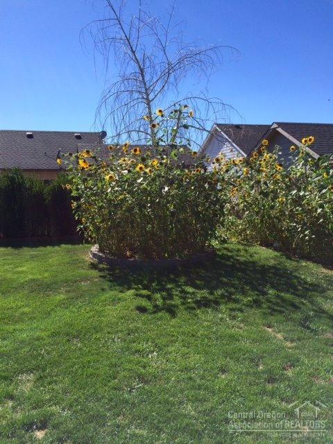 Deer Ridge - Residential