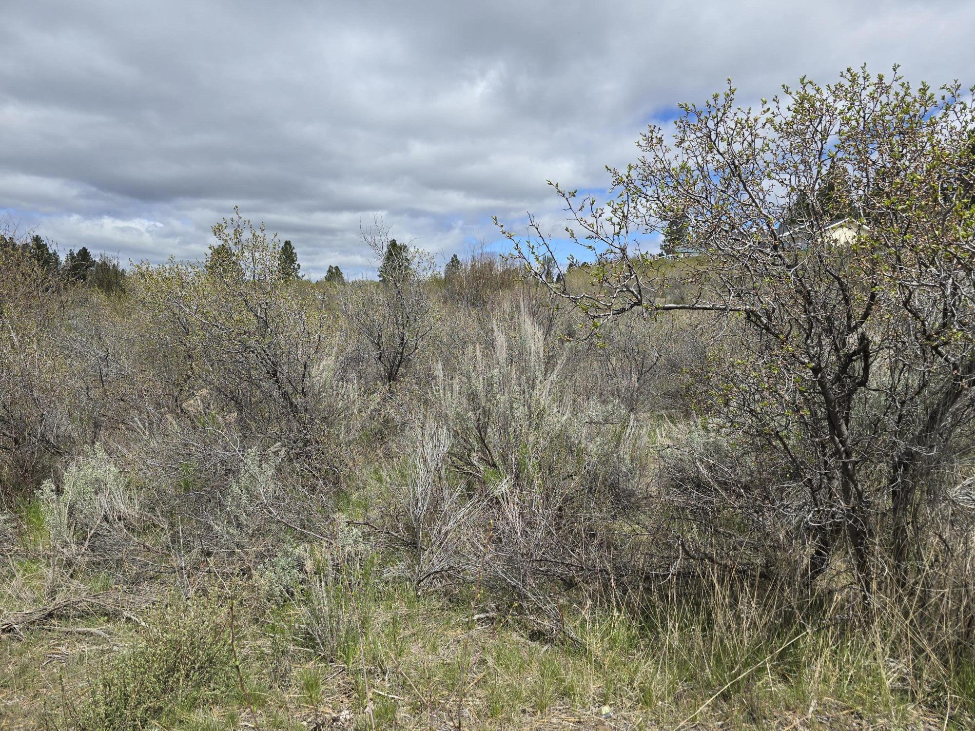 Oregon Shores -Unit 2-First Addition - Land