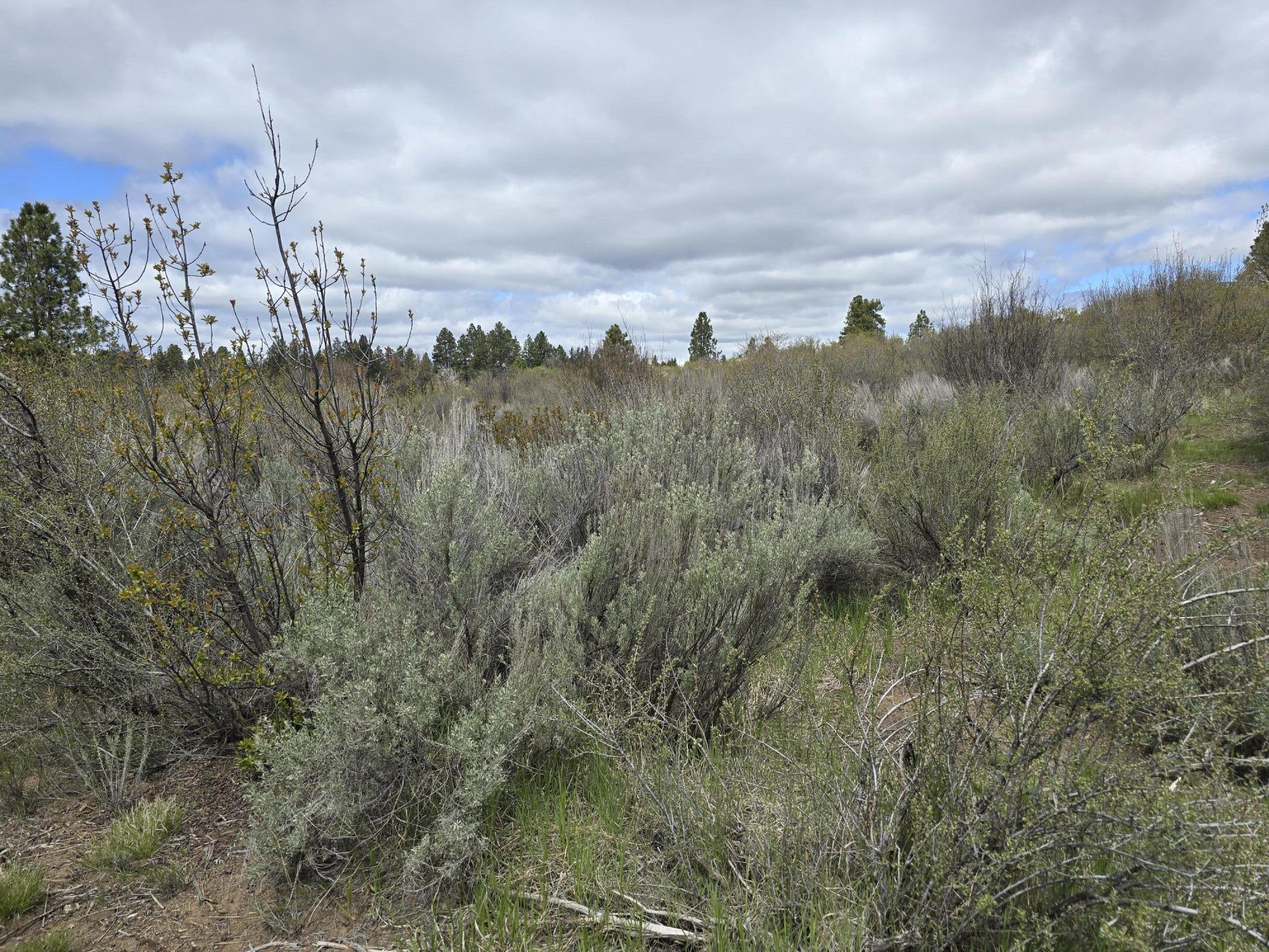 Oregon Shores -Unit 2-First Addition - Land