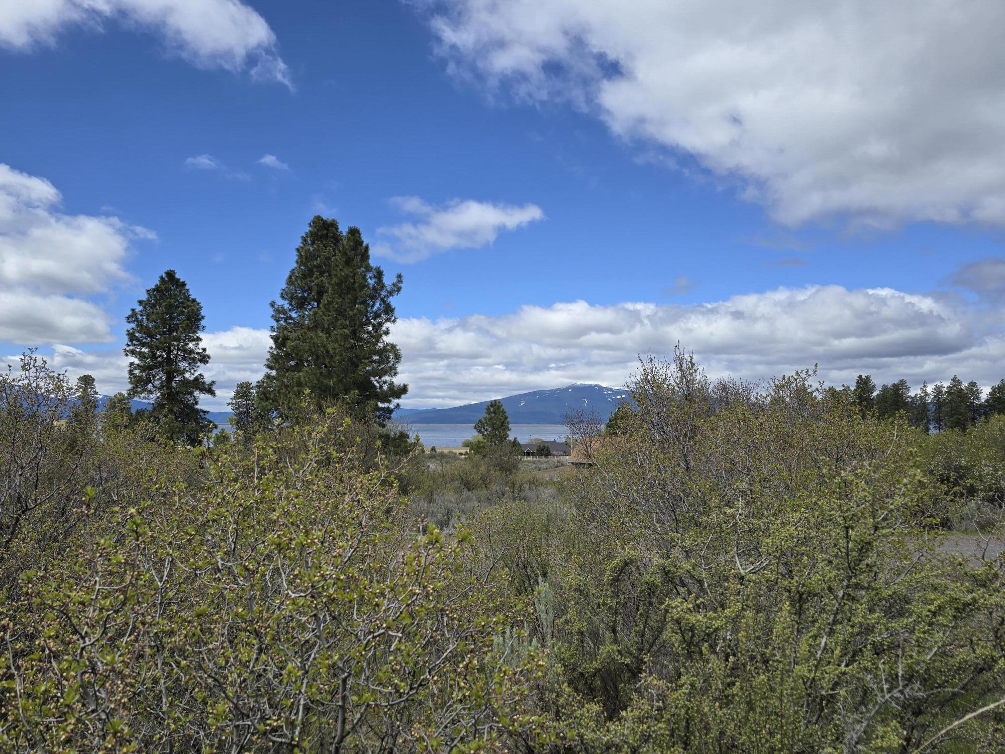 Oregon Shores -Unit 2-First Addition - Land