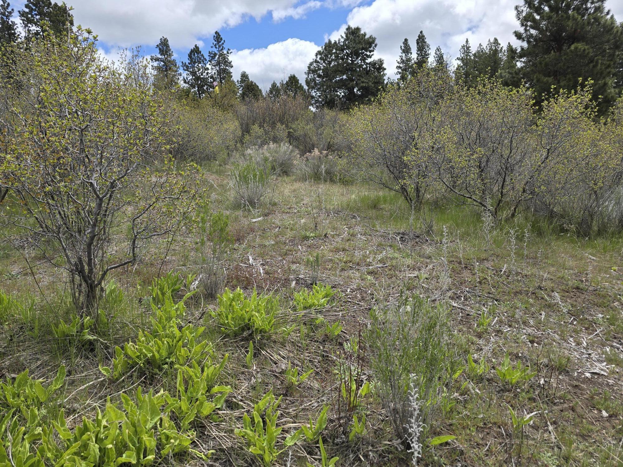 Oregon Shores -Unit 2-First Addition - Land