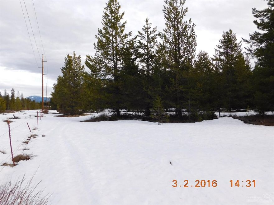 Looking to build your dream home on a very private parcel minutes to town? Here's your chance! This Great Location is located in the subdivision First Addition to La Pine'' Blk # 1 & 2. Located off of 6th street at the very north end of Pengra St. Total of 4.17 acres zoned EFULA. Buyer to due diligence regarding zoning and outright uses. Septic Feasibility to be performed as soon as weather permits. These 2 blocks are being sold together.