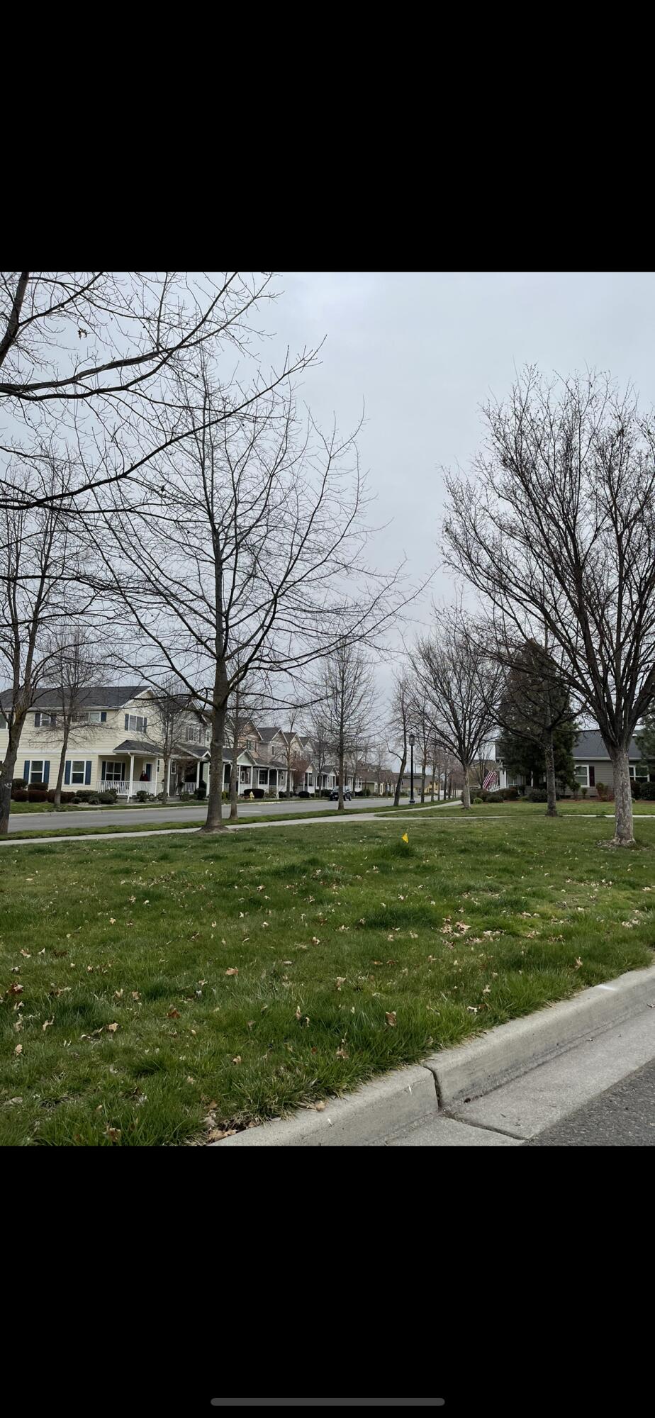 Griffin Oaks - Residential
