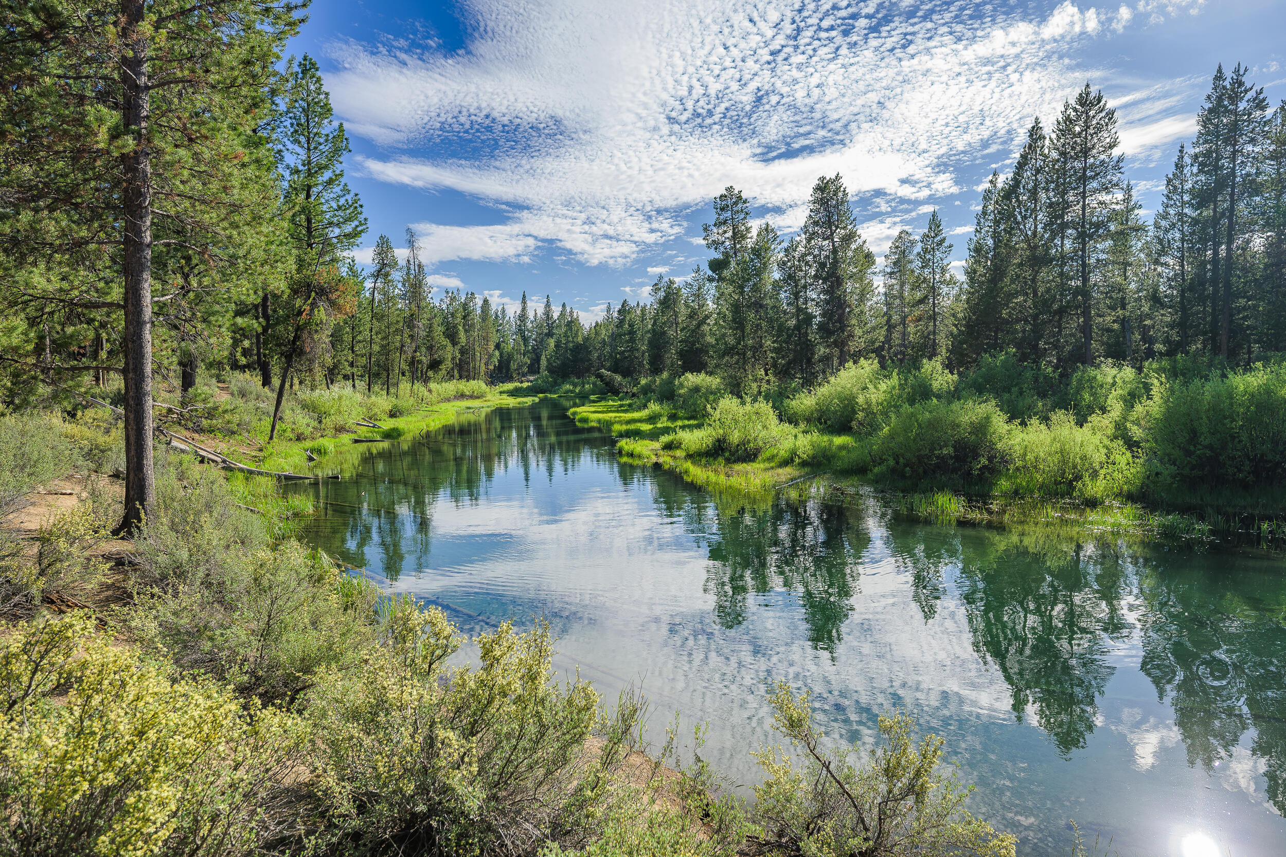 Sun Forest Estates - Land