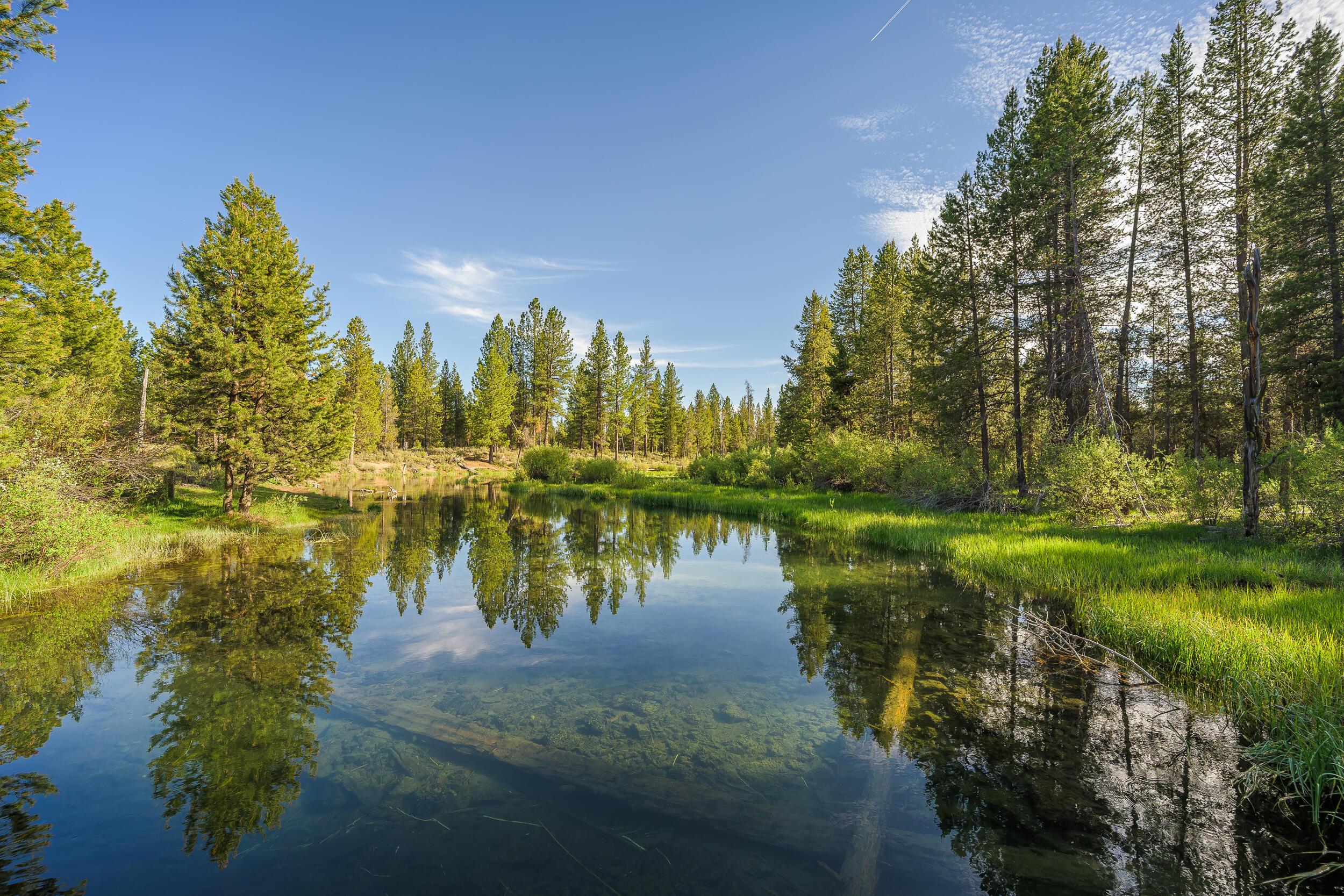 Sun Forest Estates - Land