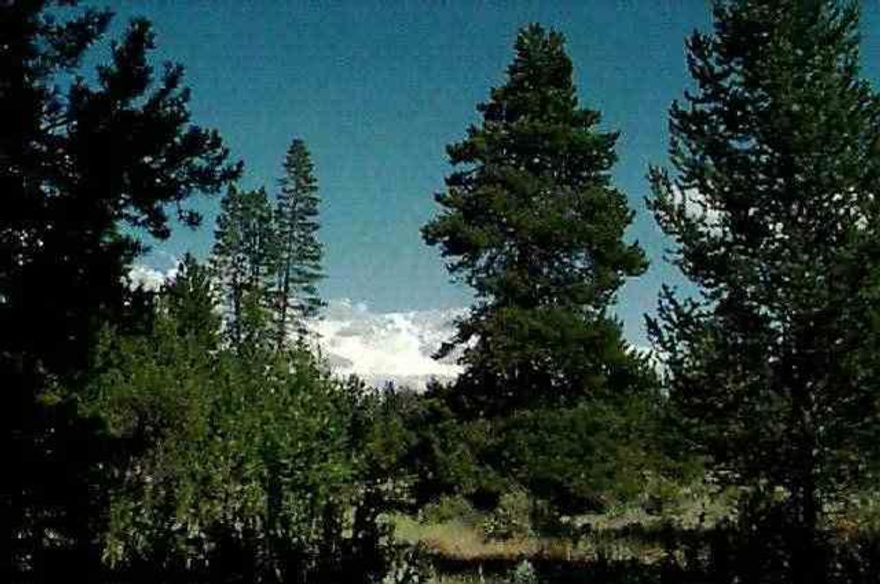 Large Parcel, Nicely Wooded With Access To Th E Williamson River. Power, Phone Available. Septic Approved For Low Pressure Distribution System.