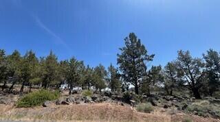 Running YResort - Land