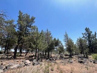 Running YResort - Land