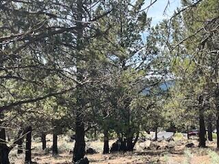 Running YResort - Land