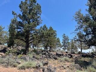 Running YResort - Land