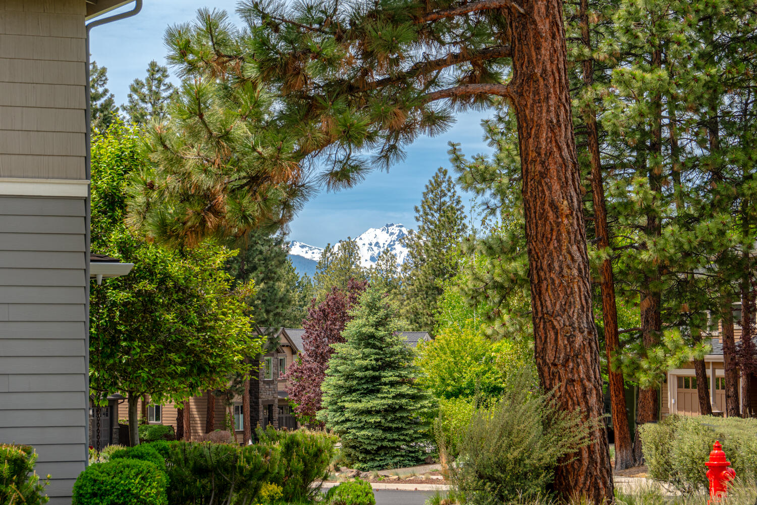 Renaissance@Shevlin - Residential