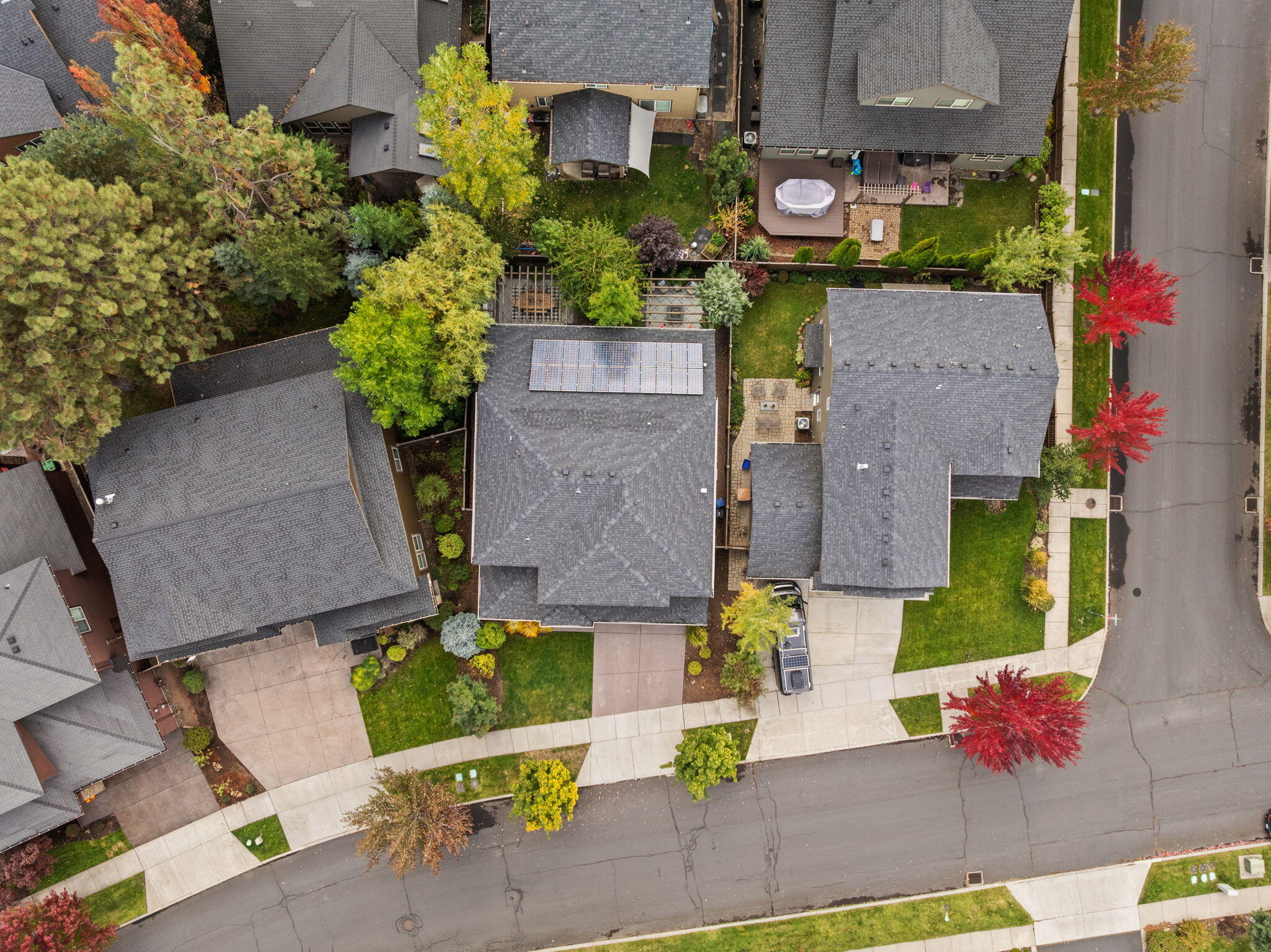 19671 Hollygrape Street